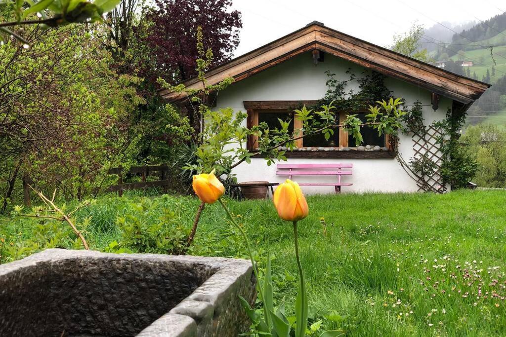 Zuhaus Schernfeichten Kitzbühel Eksteriør bilde